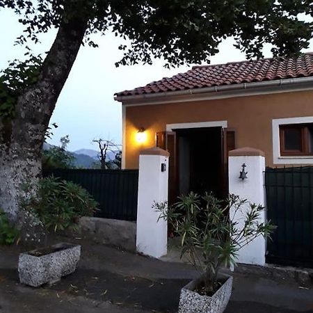Petit Coin De Paradis Evisa Dış mekan fotoğraf