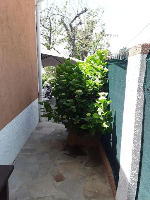 Petit Coin De Paradis Evisa Dış mekan fotoğraf
